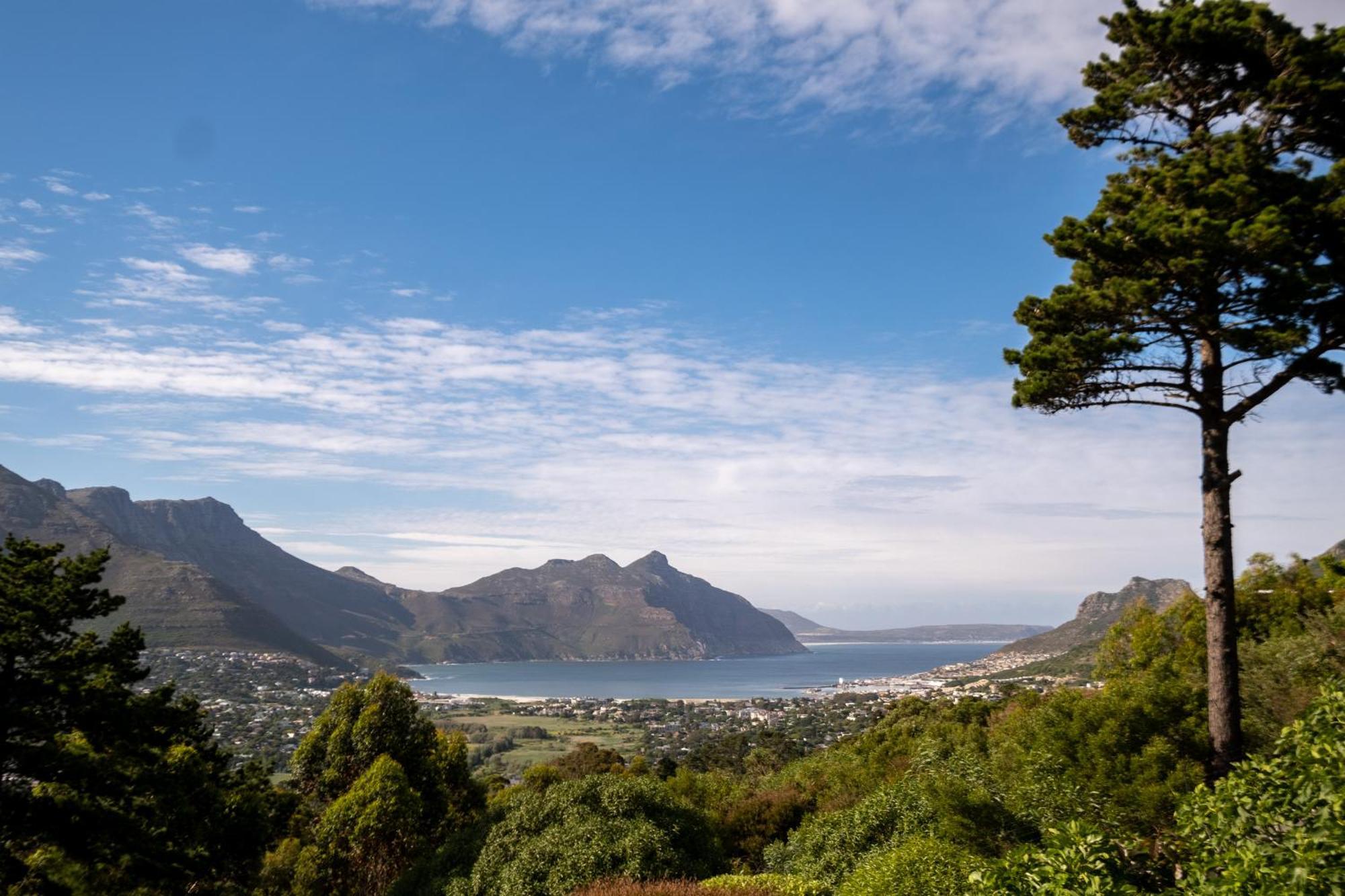 Dreamhouse Guest House Hout Bay Exteriér fotografie
